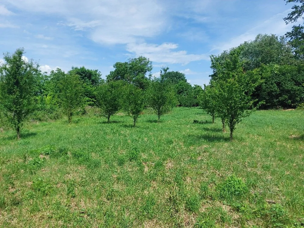 Prodej zahrady 4845 m² — Rajhrad